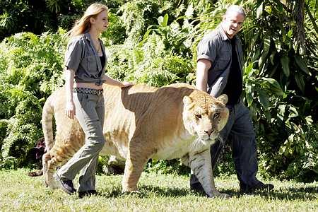 rencontre lion et maitre