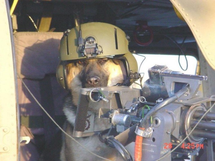Les Images insolites de la semaine #8 - 14 Les Images insolites de la semaine #8 - 14