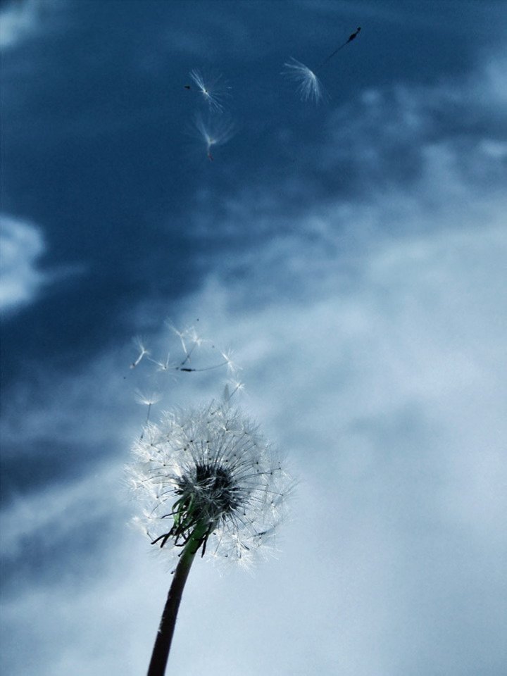 Les Images insolites de la semaine #8 - 15 Les Images insolites de la semaine #8 - 15