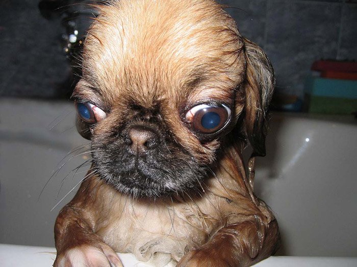 Les Images insolites de la semaine #8 - 21 Les Images insolites de la semaine #8 - 21