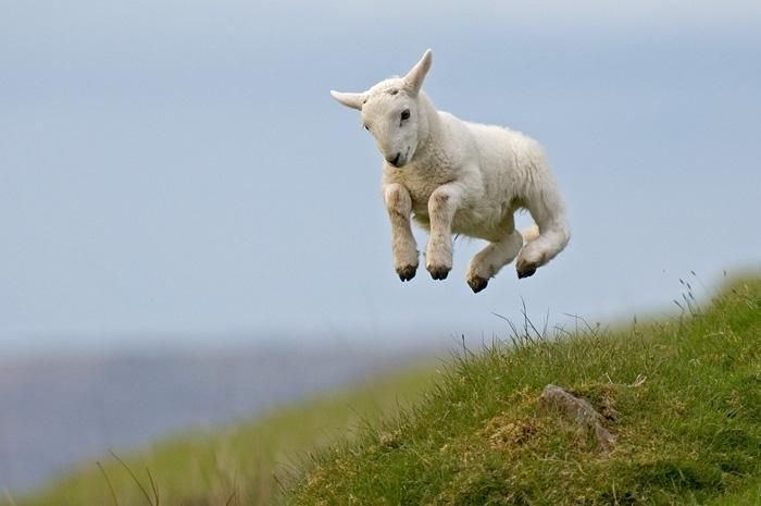 Les Images insolites de la semaine #8 - 23 Les Images insolites de la semaine #8 - 23