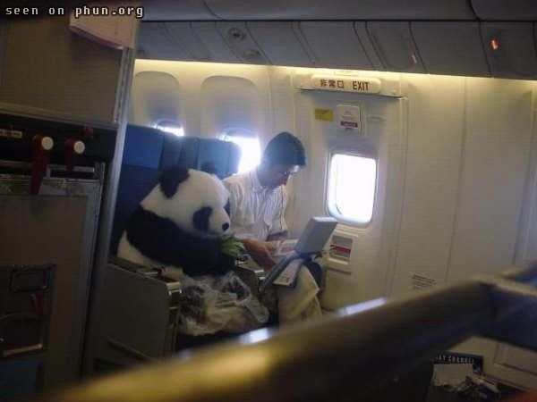 Les Images insolites de la semaine #8 - 36 Les Images insolites de la semaine #8 - 36