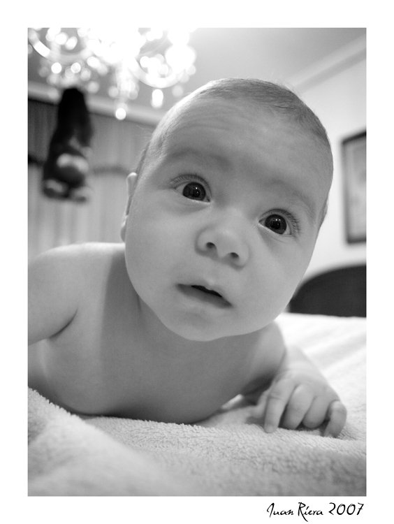 Les Images insolites de la semaine #8 - 40 Les Images insolites de la semaine #8 - 40