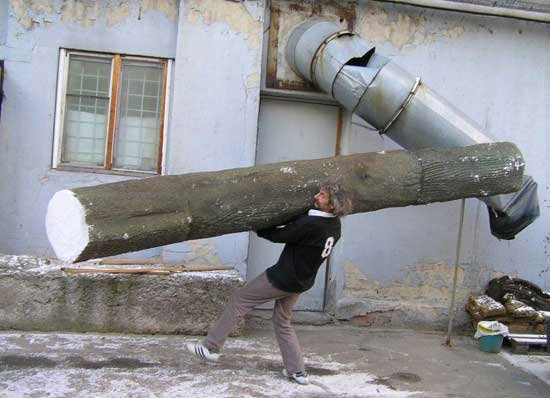 Les Images insolites de la semaine #8 - 41 Les Images insolites de la semaine #8 - 41