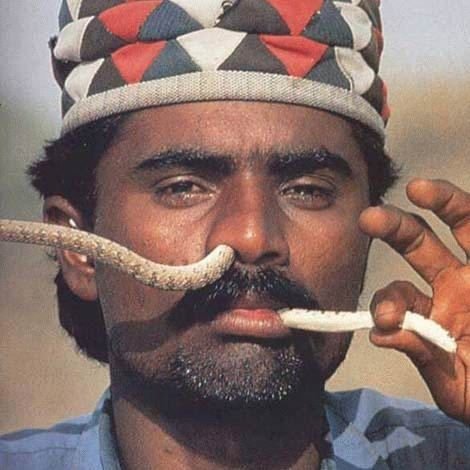 Les Images insolites de la semaine #8 - 59 Les Images insolites de la semaine #8 - 59