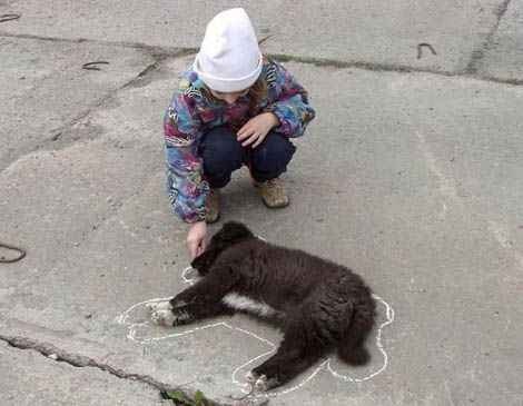Les Images insolites de la semaine #8 - 60 Les Images insolites de la semaine #8 - 60