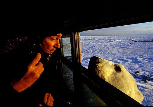 Magnifiques images de l'antarctique - Sa population, ses paysages ! 19 Magnifiques images de l'antarctique - Sa population, ses paysages ! 19