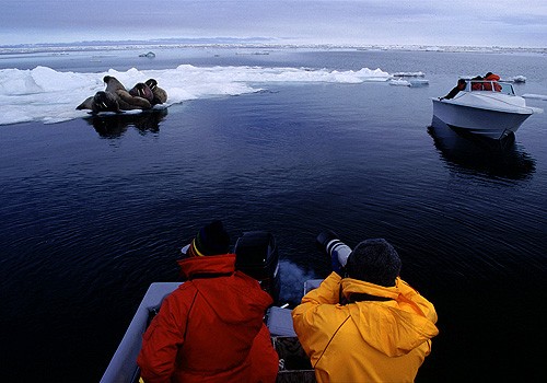 Magnifiques images de l'antarctique - Sa population, ses paysages ! 21 Magnifiques images de l'antarctique - Sa population, ses paysages ! 21