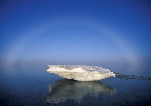 Magnifiques images de l'antarctique - Sa population, ses paysages ! 54 Magnifiques images de l'antarctique - Sa population, ses paysages ! 54