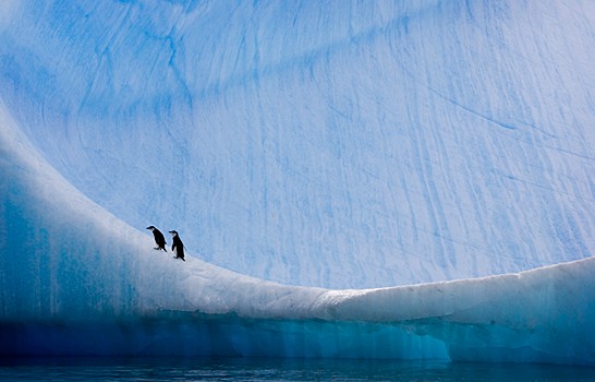 Magnifiques images de l'antarctique - Sa population, ses paysages ! 63 Magnifiques images de l'antarctique - Sa population, ses paysages ! 63