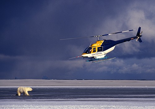 Magnifiques images de l'antarctique - Sa population, ses paysages ! 94 Magnifiques images de l'antarctique - Sa population, ses paysages ! 94