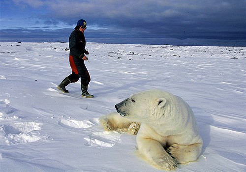 Magnifiques images de l'antarctique - Sa population, ses paysages ! 95 Magnifiques images de l'antarctique - Sa population, ses paysages ! 95