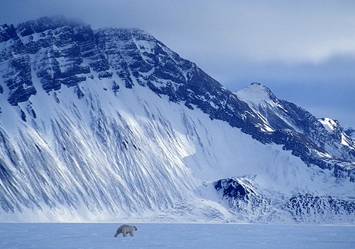 Magnifiques images de l'antarctique - Sa population, ses paysages ! 103 Magnifiques images de l'antarctique - Sa population, ses paysages ! 103