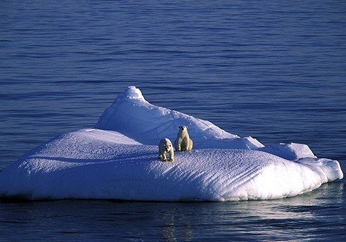 Magnifiques images de l'antarctique - Sa population, ses paysages ! 104 Magnifiques images de l'antarctique - Sa population, ses paysages ! 104