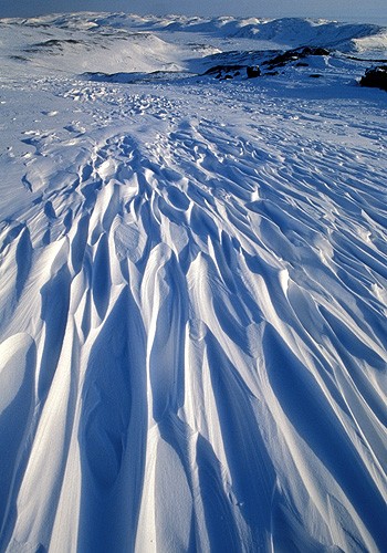Magnifiques images de l'antarctique - Sa population, ses paysages ! 111 Magnifiques images de l'antarctique - Sa population, ses paysages ! 111