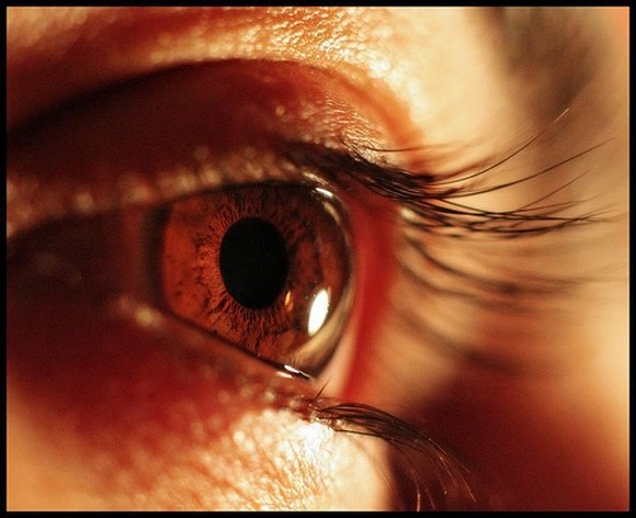 Photo dans le blanc des yeux ! Photo dans le blanc des yeux !