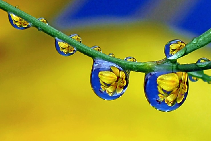Photos de gouttes d'eau grâce à la Macrophoto ! 9 09 drops 56541 Photos de gouttes deau grâce à la Macrophoto !