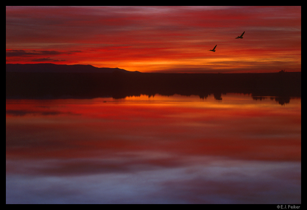 NM_Bosque_Sunrise06