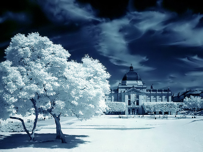dreamland