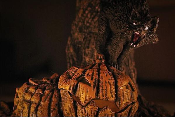 spawn_cat