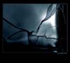 154772_cce1f