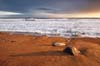 20060201102709_facingdenmar-