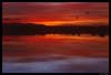 NM_Bosque_Sunrise06