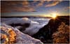 Revelation-of-Dawn-TC