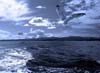 Volare