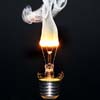 bulb_5701