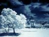 dreamland
