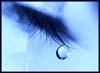 teardropblu