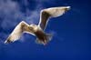touch_the_wind_b